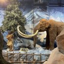 힐게임랜드 이미지