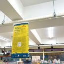 페티포티 이미지