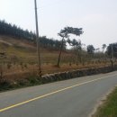 대산사슴농장 이미지