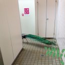 동물원 화장실 이미지