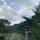 원통로177번길 이미지