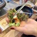 강원지방경찰청 | 춘천 거두리 맛집 추천 점심 식사 가능한 춘천 미나리 삼겹살 맛집 샘밭촌놈 내돈내산 솔직후기
