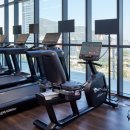 스테이코 이미지