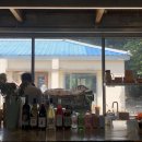 지현목장 | 제주 여행에 대하여