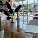 수정안경원 | 경산 안경원 가이드 무극안경 위드렌즈 경산점의 장비서비스편의 정리