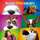 (주)마이펫코리아 이미지