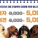 고고독 이미지