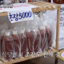 산오징어식당