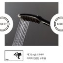 도그샤워 이미지