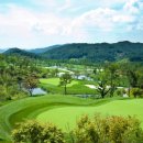 마에스트로 CC 이미지