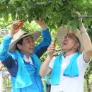 보선농장 이미지