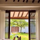 예쁨중DOG 이미지