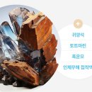 온누리엄마손약국 이미지