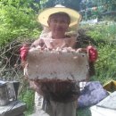 왕벌농장 이미지