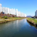 수영강 세월교 이미지