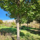 세천늪근린공원 이미지