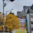 봉선교정원