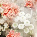 수잔 - 양산시 연호4길 15 | 수잔