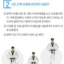 호랑이태권도 이미지
