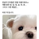 네모의꿈
