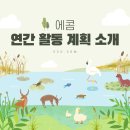 에콤 이미지