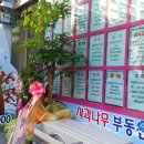 사과나무공인중개사사무소 이미지