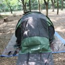 메가라인슈퍼 | 패스트캠프 원터치 텐트 : 메가5 가변 더블 익스텐션 : 접는 법 펴는 법 : 올리브그린