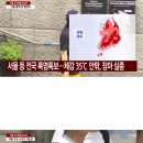 대신한증막