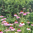 시흥약국 이미지