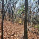 동막공원 이미지