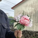 소롱코지 네이버블로그