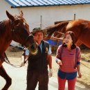 가족농장 이미지