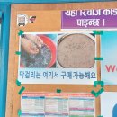 여기서구매