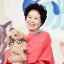 선우용여 카카오 검색결과