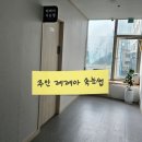 레레아속눈썹