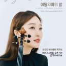 바이올린 티스토리