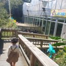 금바위농장 이미지