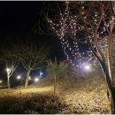펜션포레스트