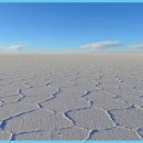 빛과 소금 이미지