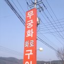 홍천화로구이 네이버블로그