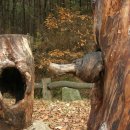 다산농원 이미지