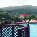 그린티하우스 이미지