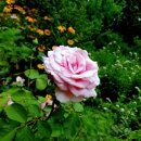 태전공원 이미지