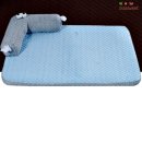 시소 펫 이미지