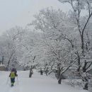 고창 선운산(설경)/풍천장어(미식)산행안내(1월6일) 이미지