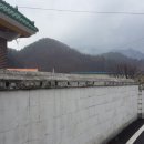 도산1리 버스정류장 이미지