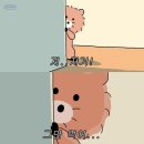 왕비성 이미지