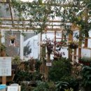 신라농장 이미지