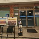 덕규인삼