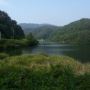 노치경로당 Daum카페